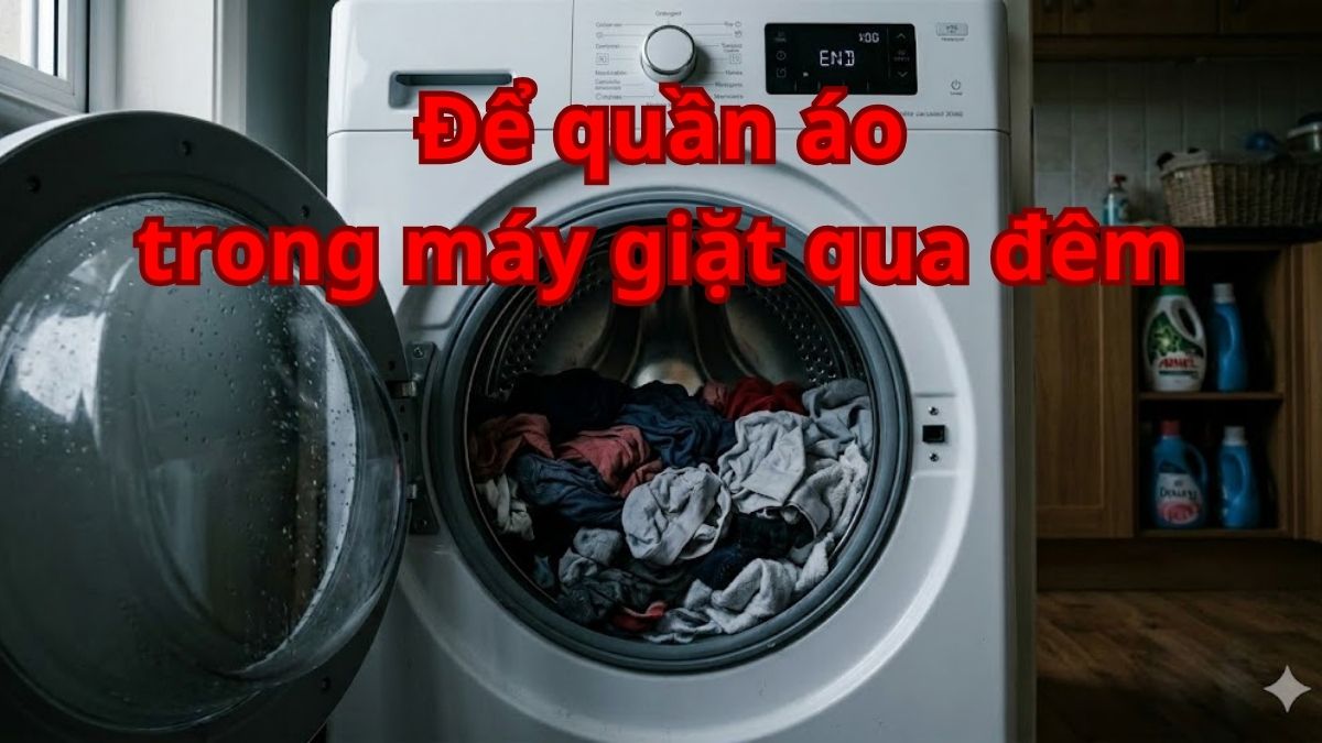 Để quần áo trong máy giặt qua đêm có sao không? Cách xử lý đúng